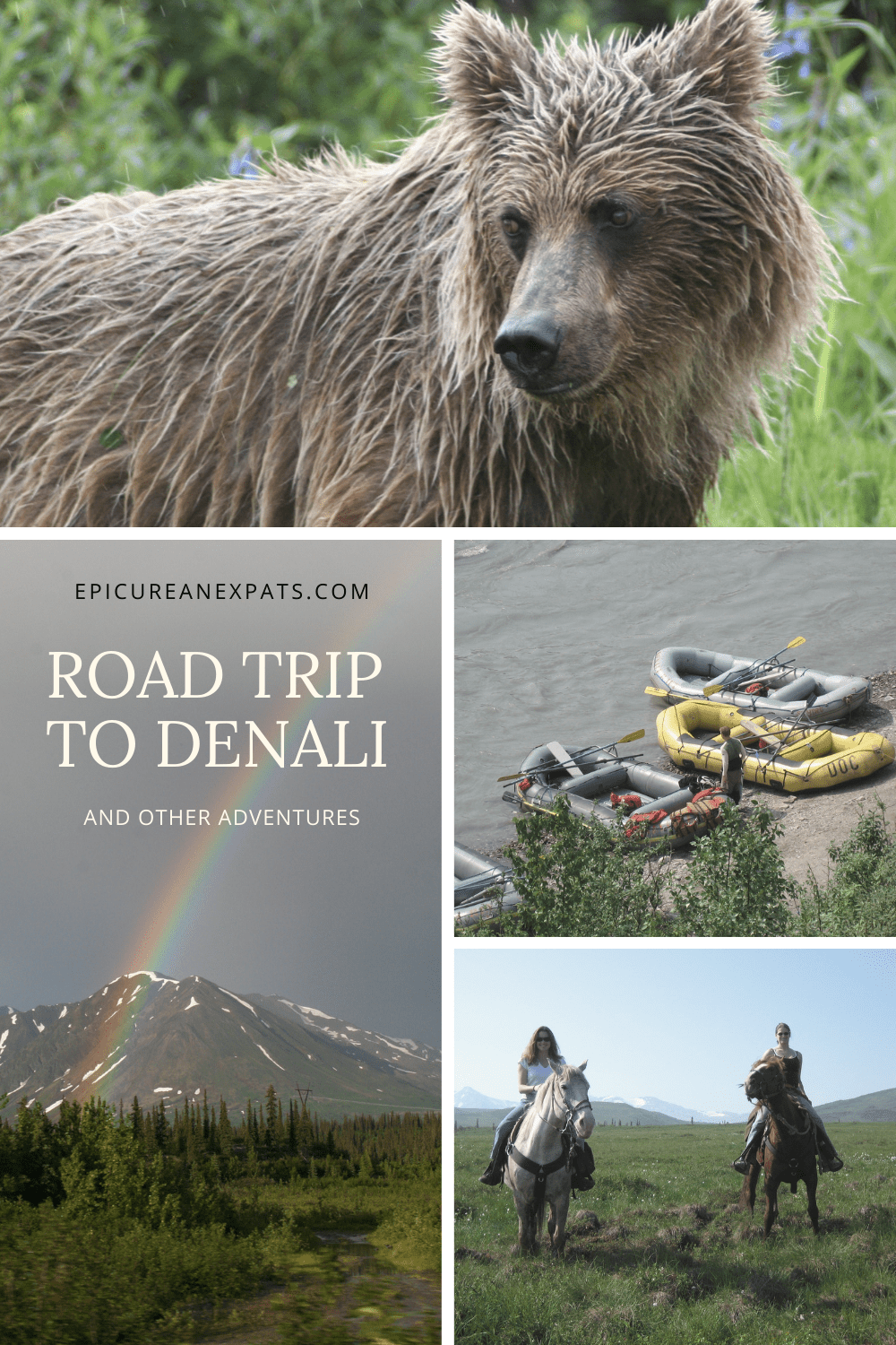 Road Trip To Denali National Park And Other Adventures - Epicurean Expats