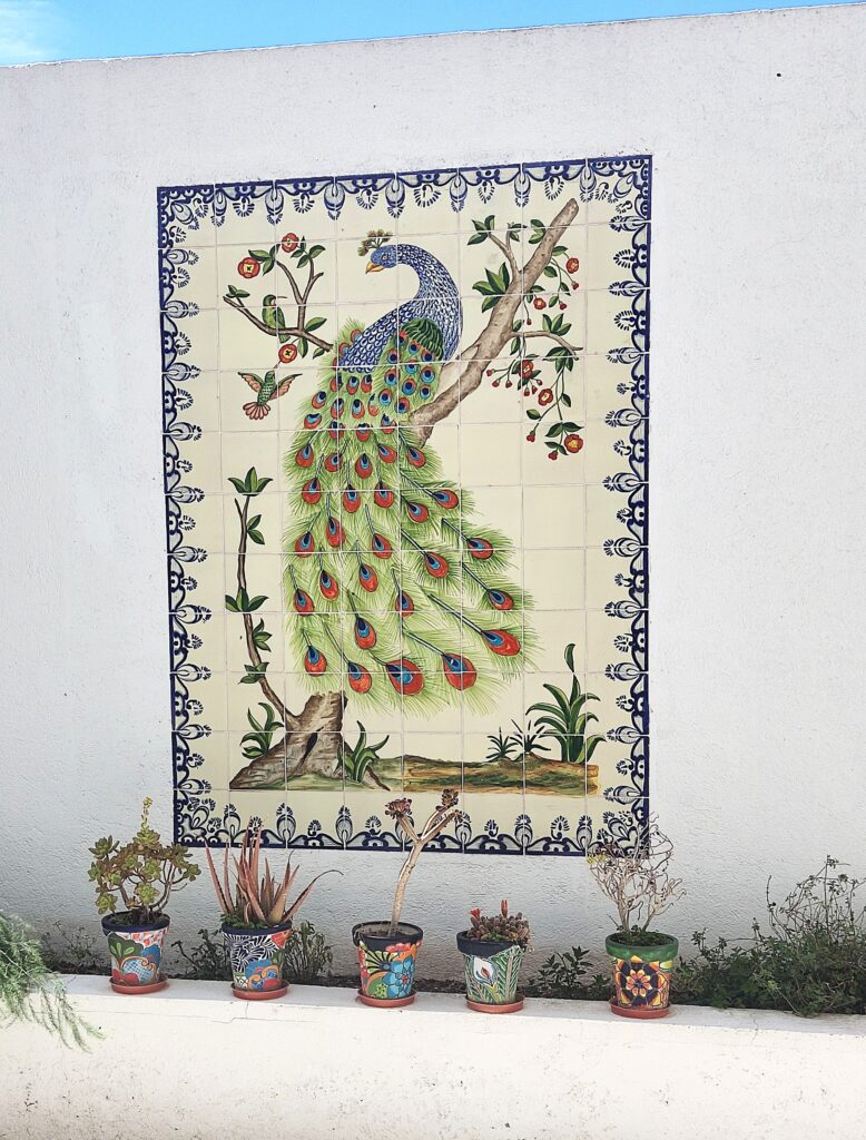 Peacock mural