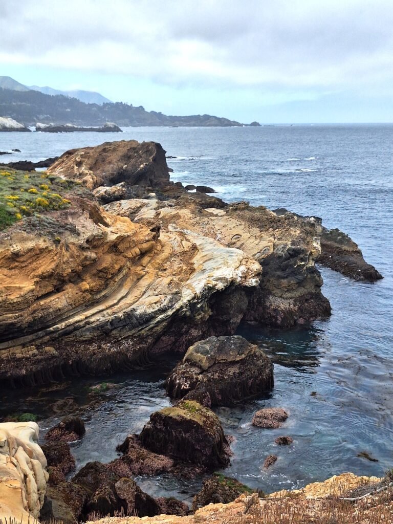 View from South Shore trail in Point Lobos, California