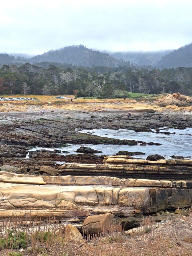 Westin Beach, Point Lobos, California from South Shore Trail