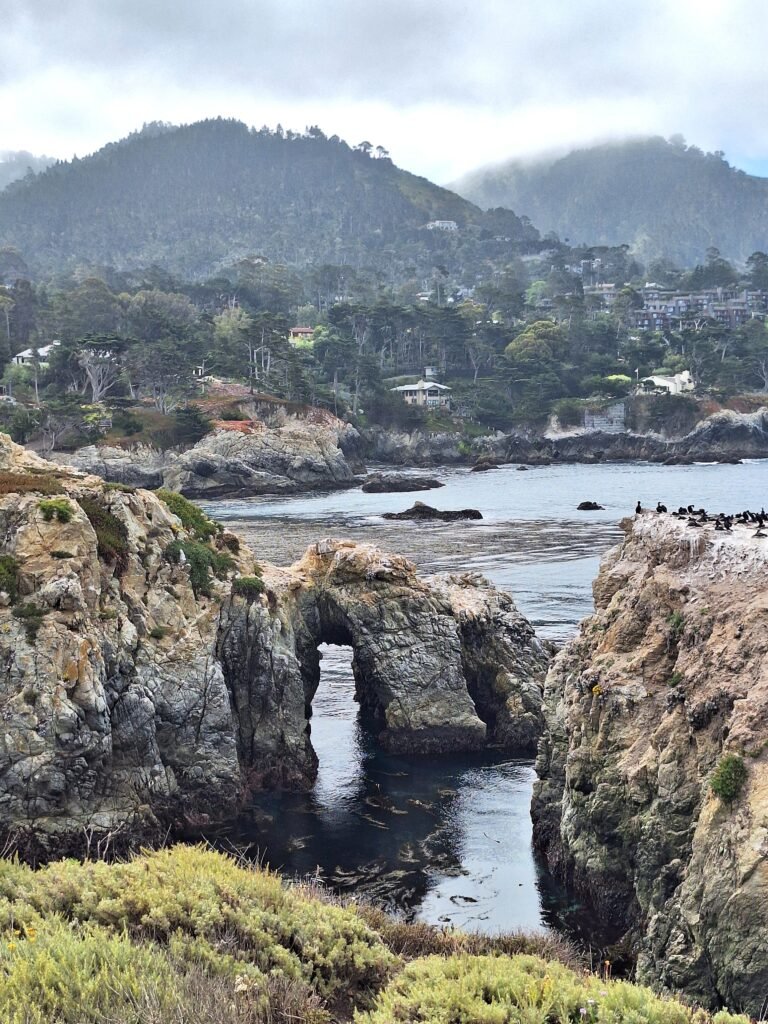 View of Gibson beach from Bird Island Trail, Point Lobos, California