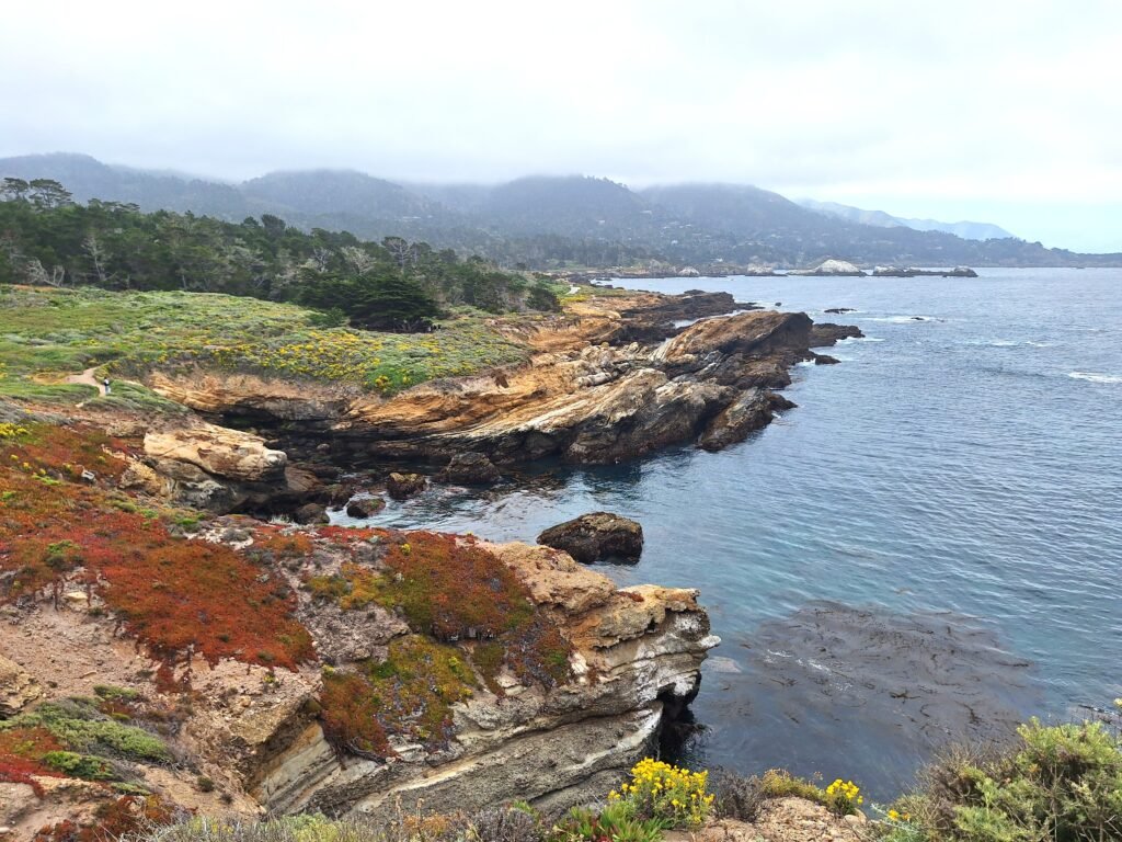 View from South Shore Trail, Point Lobos, California