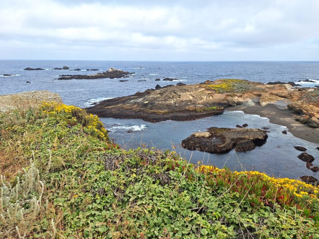 View of Sea Lion Point in Point Lobos, California